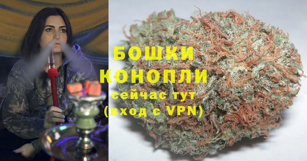 кокс Дмитриев