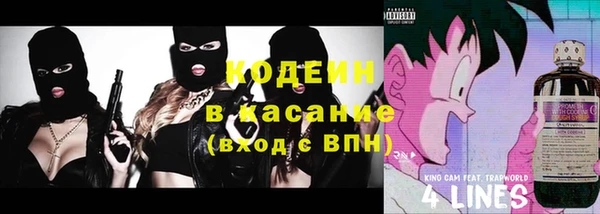 хмурый Дмитров