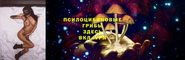 хмурый Дмитров