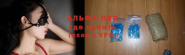 хмурый Дмитров