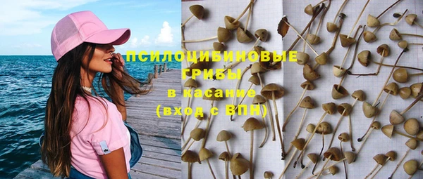 прущие крисы Дмитровск