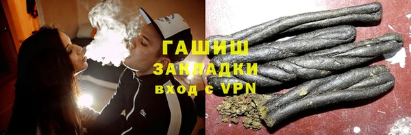 хмурый Дмитров